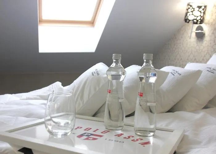 Alex Palace 4* Dziwnów